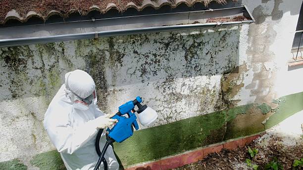 Top rated local Attic Mold Remediation specialists in Madison, MD
